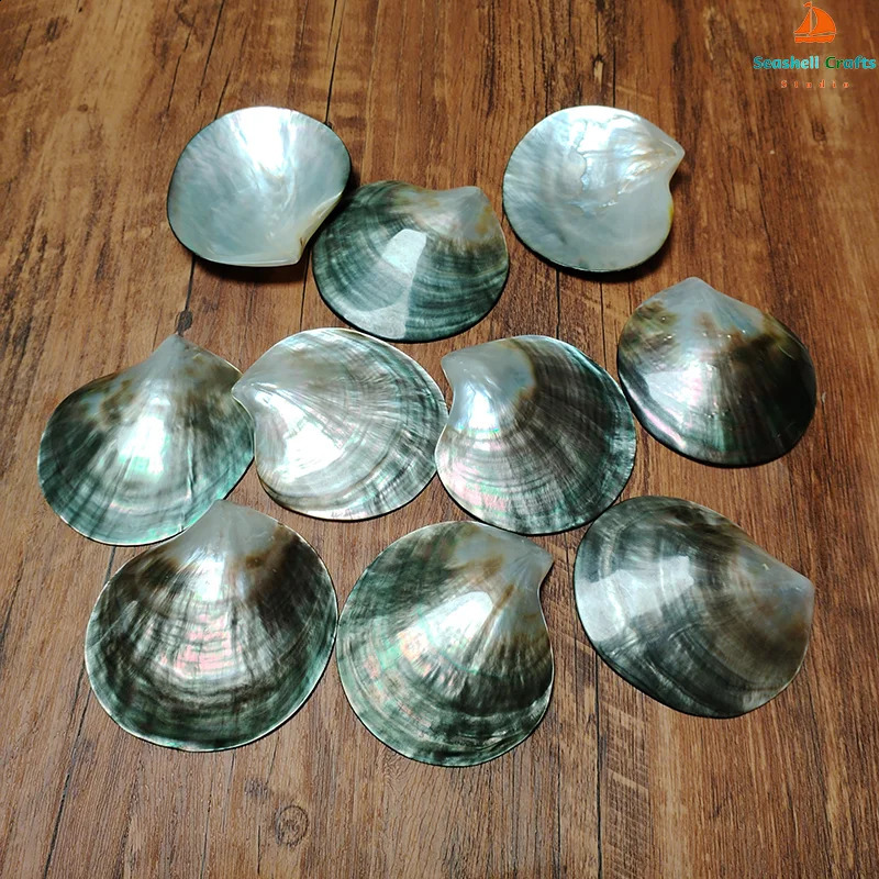 2 PC Black Mother of Pearl Shells Polished Pinctada Margarilifera Sea Shell Handmade Creative DIY Jewelry Beads Caviar Container 240907