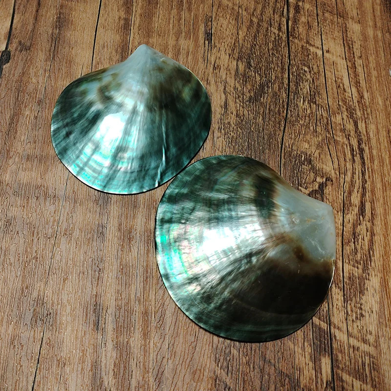 2 PC Black Mother of Pearl Shells Polished Pinctada Margarilifera Sea Shell Handmade Creative DIY Jewelry Beads Caviar Container 240907
