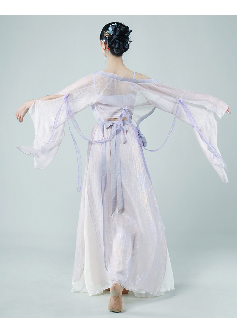 Elegant Hanfu Dance Costume for Women - Flowing Chinese Classical Dance Practice Dress with Sheer Sleeves