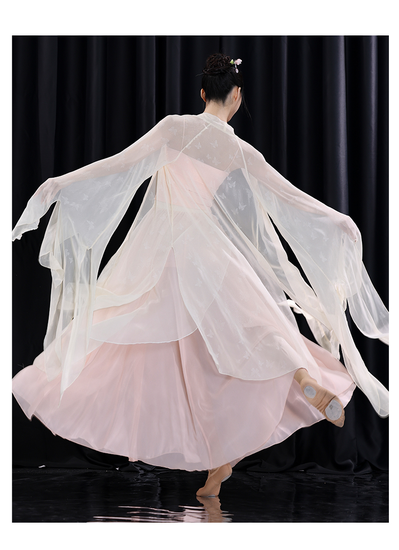 Hanfu Classical Dance Costume for Women Flowing Chiffon Top, Traditional Chinese Performance Wear