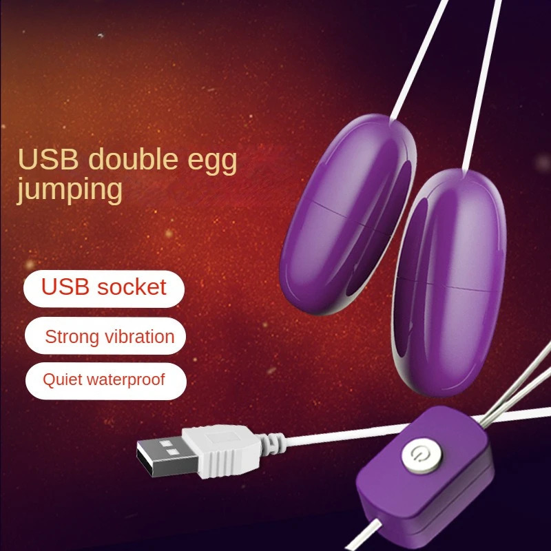 USB Double Vibrating Egg Flirting Egg Adult Products for Women Mute Strong Vibration USB Double Sex Toy G Spot Love Egg Adult 240904