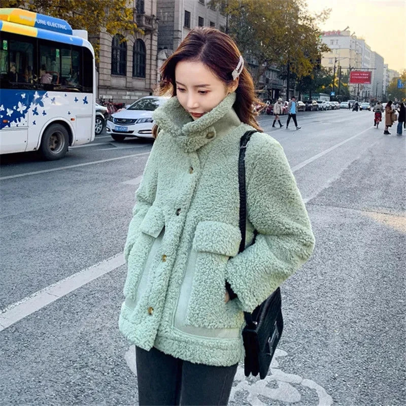 Thick Lamb Wool Teddy Coat Women Korean Style Warm Fluffy Jacket Autumn Winter Furry Cashmere Coat Big Pocket Faux Fur Overcoat 240911