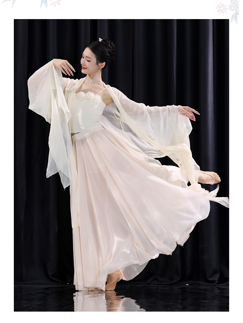 Hanfu Classical Dance Costume for Women Flowing Chiffon Top, Traditional Chinese Performance Wear