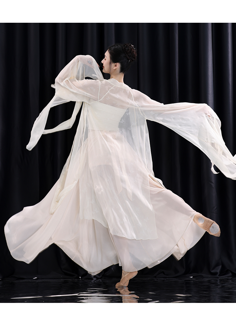 Hanfu Classical Dance Costume for Women Flowing Chiffon Top, Traditional Chinese Performance Wear