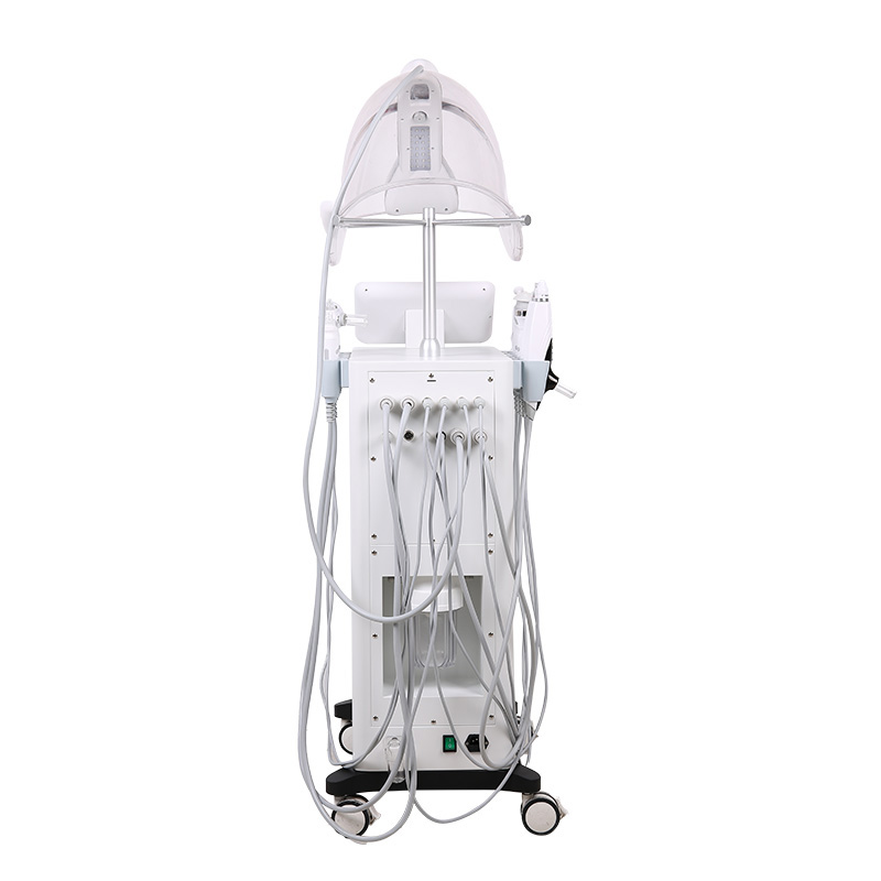 Professional 12 IN 1 Oxygen Dome Mask Pore Exfoliating Skin Care Lifting Machine Dermabrasion Facial Deep Cleansing Instrument Aqua Hydro Beauty Equip