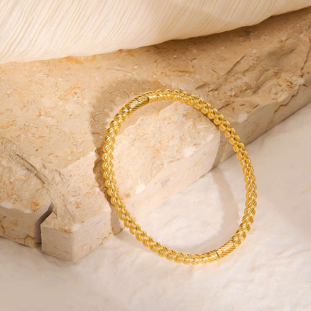Designer bracelet women Fashion Fried Dough Twists Bracelet Stainless steel net red INS style bracelet 18K gold bracelet plain ring simple jewelry Gif