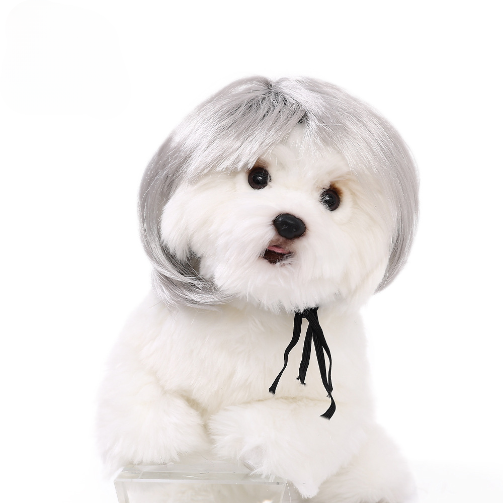 Wigs Cosplay Dog Cat Cross-Dressing Hair Set Photography Funny Props Head Accessories Prank Pet Supplies Wholesales