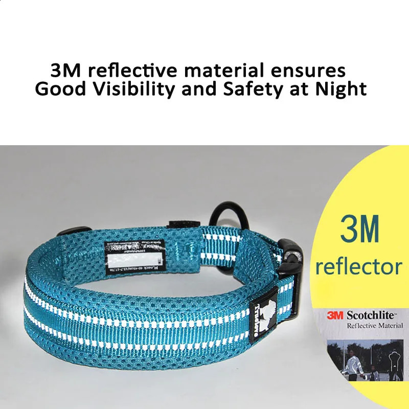 Truelove Easy On pet dog collar and leash set with adjustable nylon pads for small medium large dogs to train walk 240913