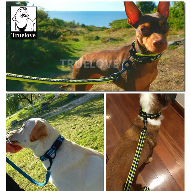 Truelove Easy On pet dog collar and leash set with adjustable nylon pads for small medium large dogs to train walk 240913