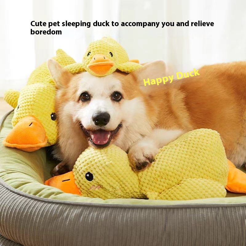 Dog toy duck with unique design, squeaking and imitating plush dog toys, fashionable pet toy design, bringing a wonderful experience to dogs