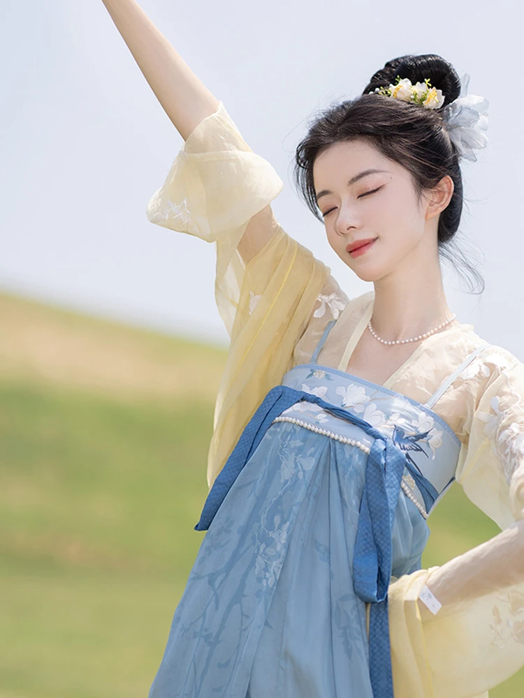Elegant Hanfu Dress: Lady Tang Dynasty Qixiong Shanqun Set | Fresh and Modern Hanfu Attire for Women