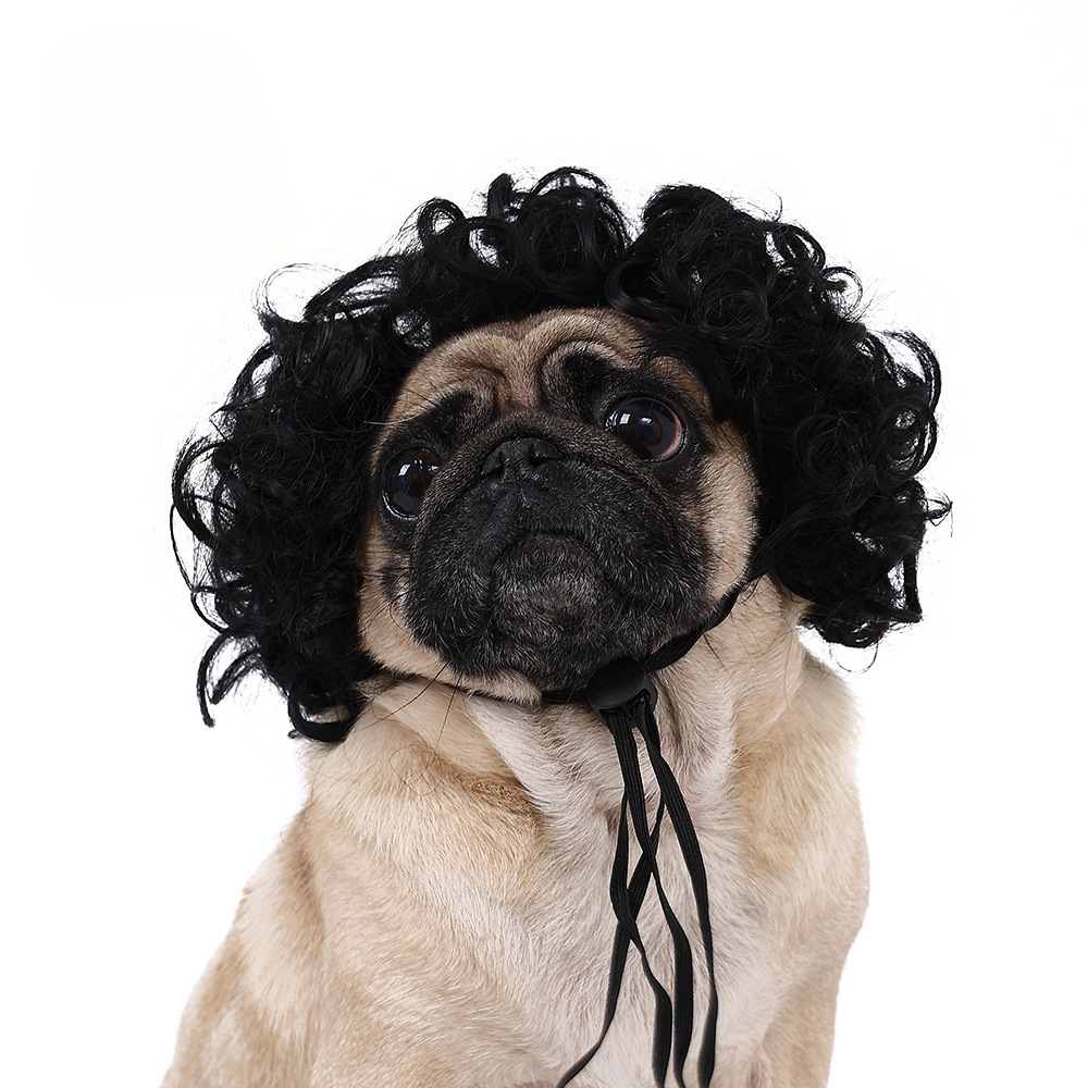 Wigs Cosplay Dog Cat Cross-Dressing Hair Set Photography Funny Props Head Accessories Prank Pet Supplies Wholesales
