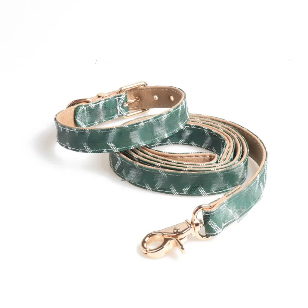 Pet accessories printed personalized retro PU leather dog collar with metal buckle cute leash set all year round 240913