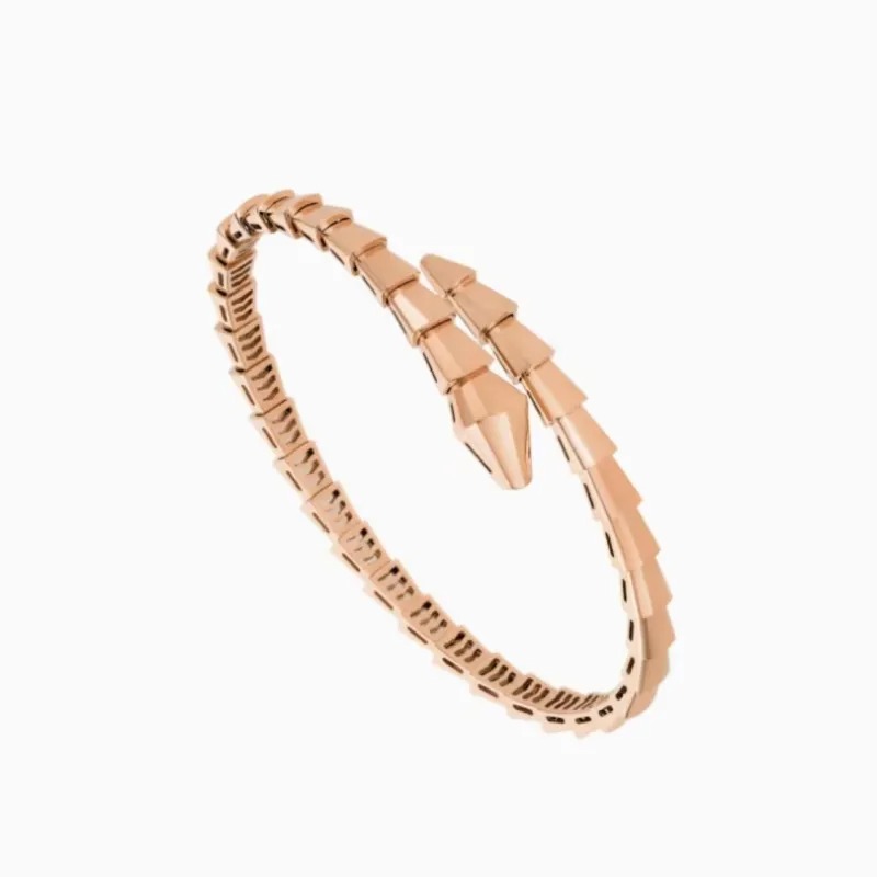 2024 wen Charm Bangle Designer Jewelry Narrow Single Circle gold Snake Designers silver Bangle fashion Birthday jewelry Gift for women