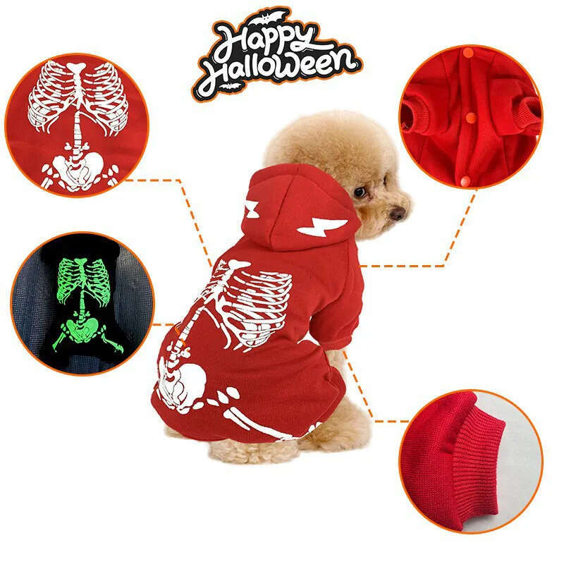 Halloween Pet Electric New Funny Dragon One-Piece Quadruped Printed Skull Glow-In-The-Dark Skeleton Dog Costume