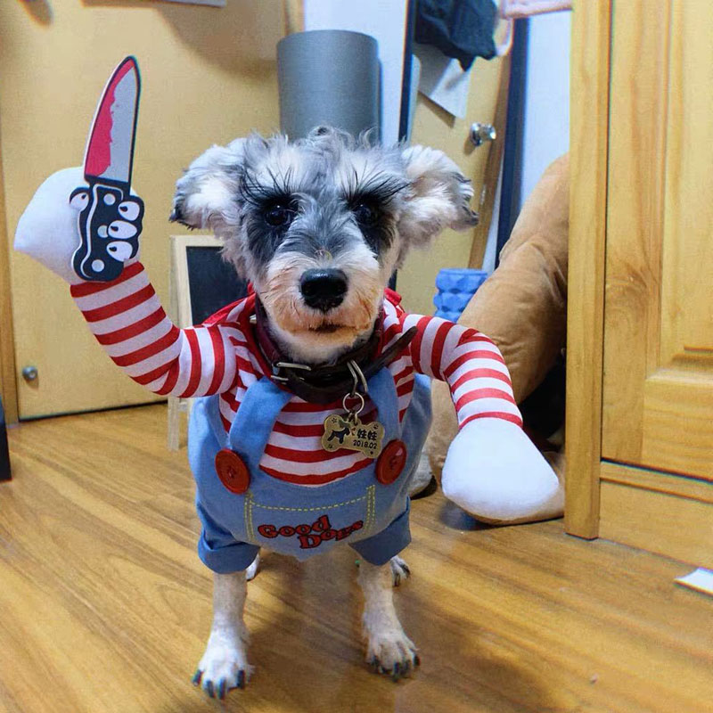 Pet Deadly Doll Dog Costume Halloween Christmas Dog Costume Adjustable Dog & Cat Cosplay Costume for Small and Medium Pets