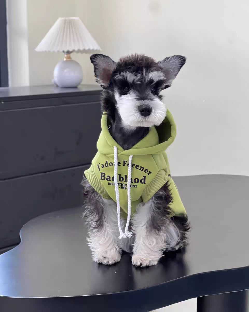 2024 Designer Clothes Winter Warm Pet Sweater Knitted Weather Pets Coats Pullover Clothing For Small Dog yh6