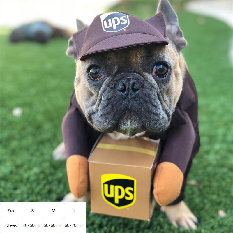 Pet Deadly Doll Dog Costume Halloween Christmas Dog Costume Adjustable Dog & Cat Cosplay Costume for Small and Medium Pets