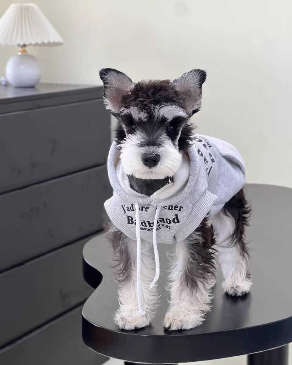 2024 Designer Clothes Winter Warm Pet Sweater Knitted Weather Pets Coats Pullover Clothing For Small Dog yh6