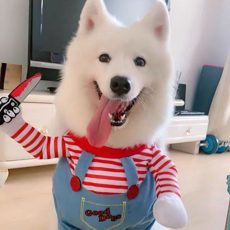 Pet Deadly Doll Dog Costume Halloween Christmas Dog Costume Adjustable Dog & Cat Cosplay Costume for Small and Medium Pets