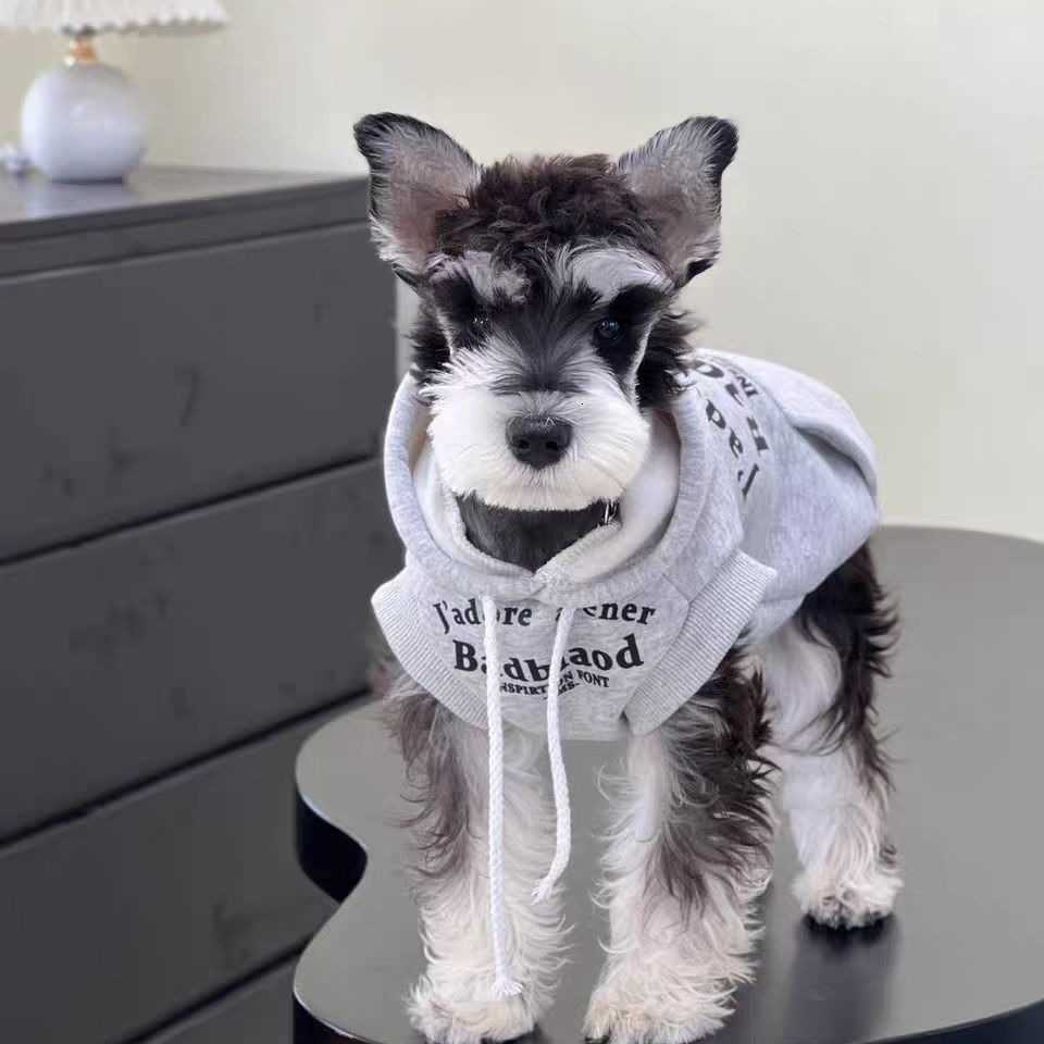 2024 Designer Clothes Winter Warm Pet Sweater Knitted Weather Pets Coats Pullover Clothing For Small Dog yh6