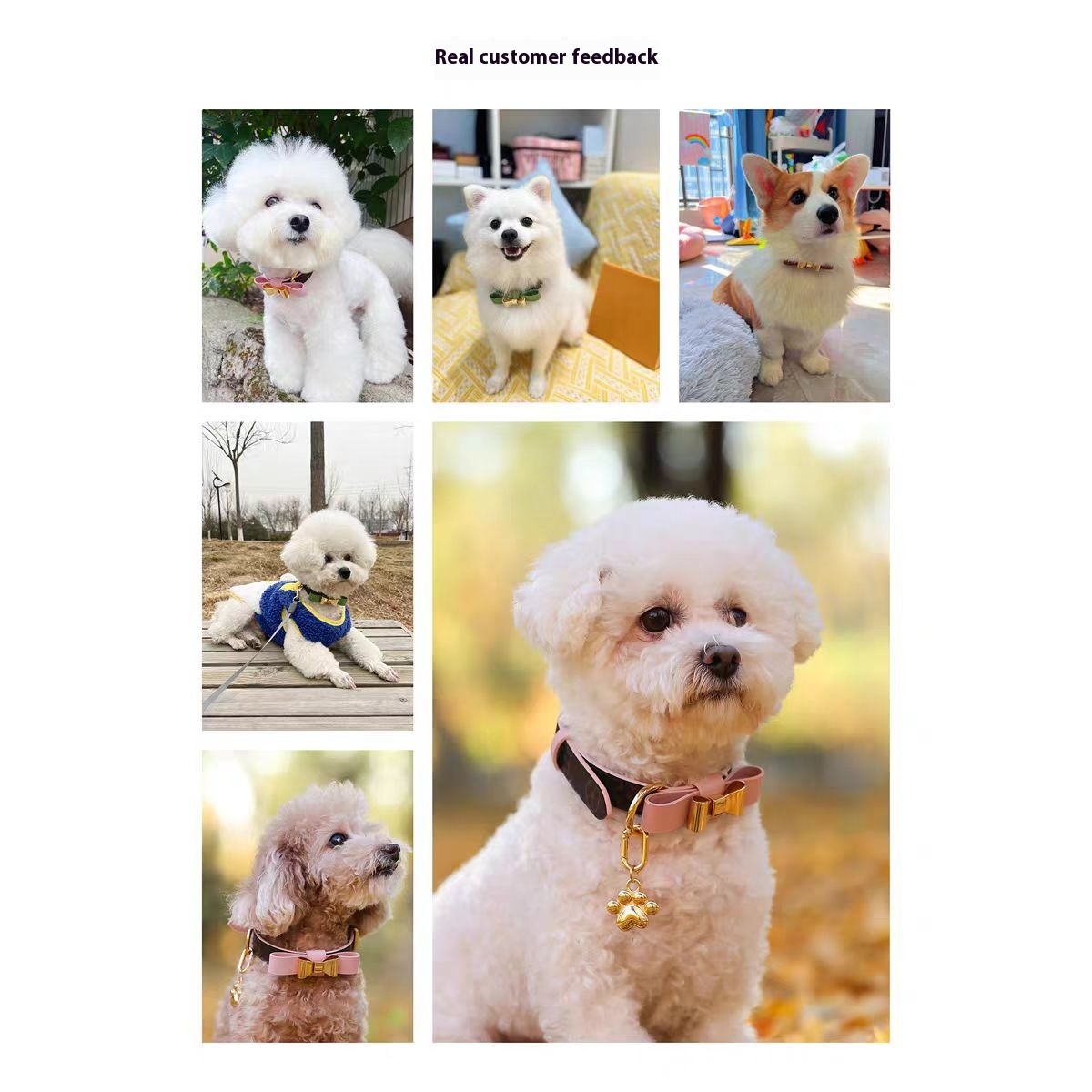 Dog Collars Genuine Leather Puppy Leash Small And Medium-sized Cat And Dog Chain Poodle Teddy Schnauzer Pomeranian Deer Dog Walking Collar H250219