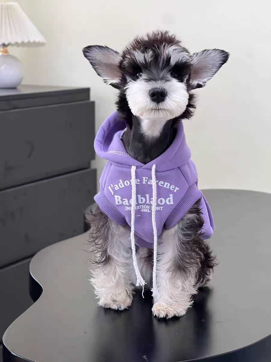 2024 Designer Clothes Winter Warm Pet Sweater Knitted Weather Pets Coats Pullover Clothing For Small Dog yh6