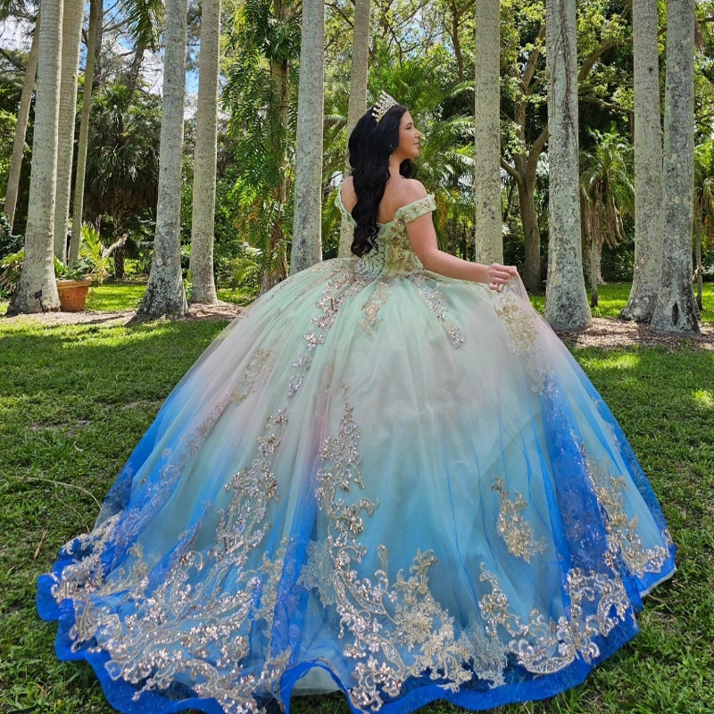 Light Sage Green Blue Quinceanera Dresses Ball Gown Lace Applique Beading Tull Corset Sweet 16 Dress Vestidos De 15 Anos