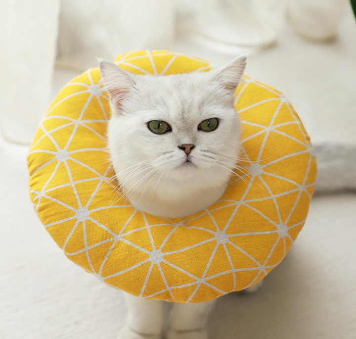Halloween Cat collar cotton neck for cats and dogs Universal full size scratch protection White Eliza Circle Beauty