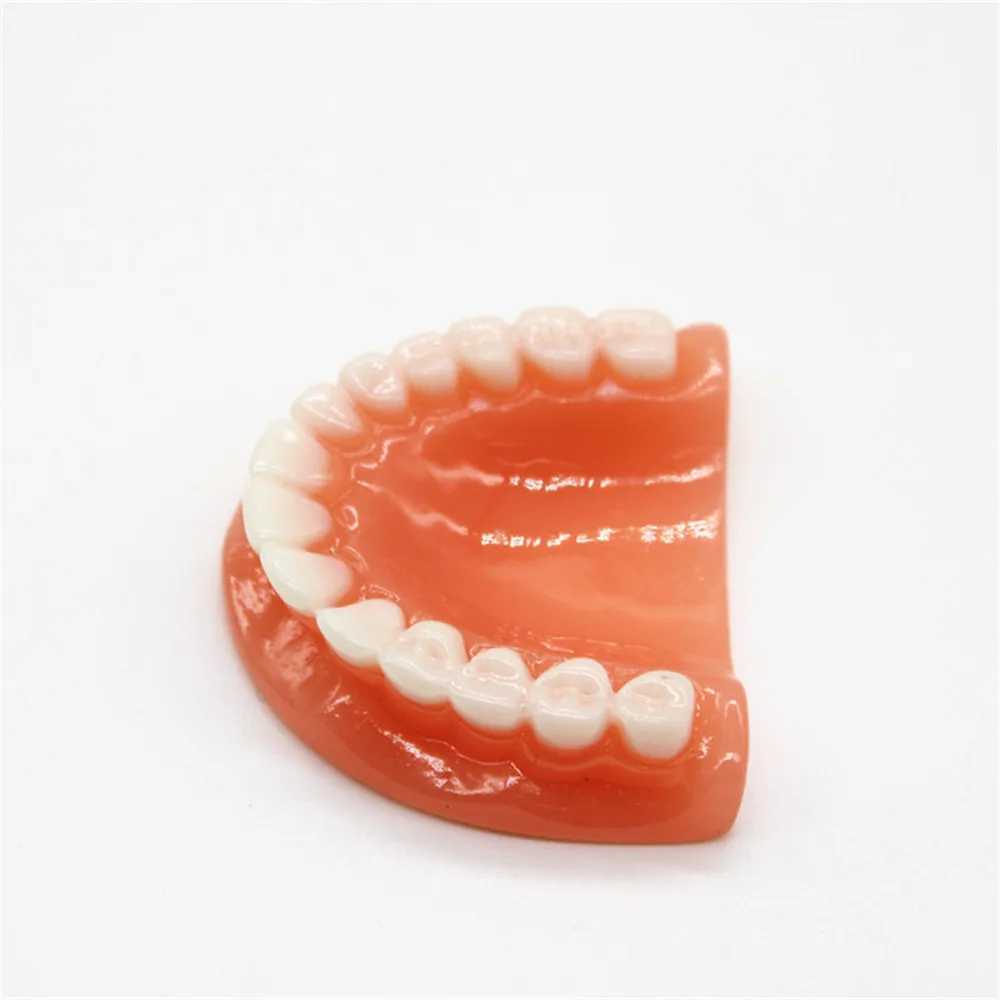 Tooth Key Chain Mold Resin Jaw Model Denture Keyring Keychain For Bags Charm Clinic Popular 2023 Trending for KidsX240919