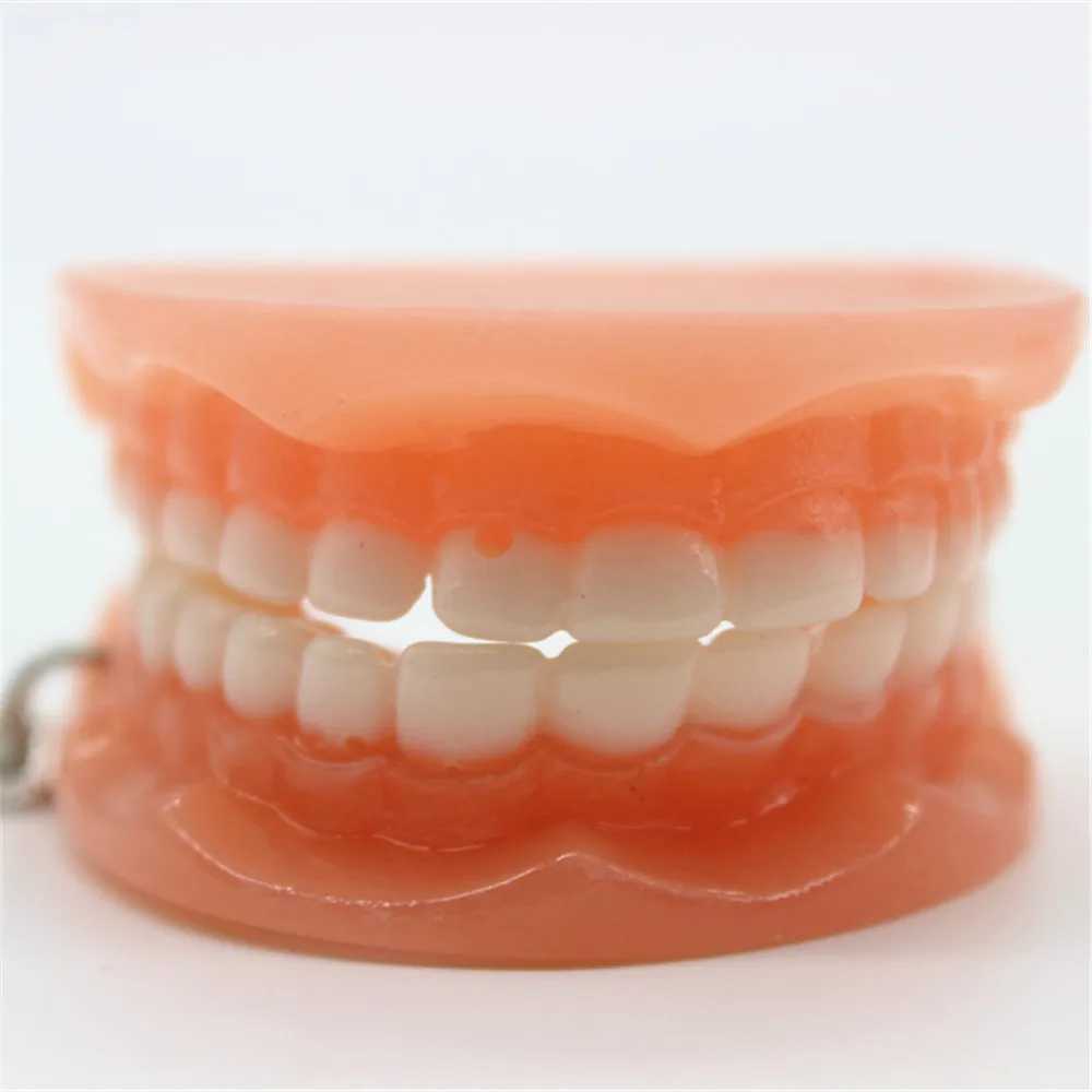 Tooth Key Chain Mold Resin Jaw Model Denture Keyring Keychain For Bags Charm Clinic Popular 2023 Trending for KidsX240919