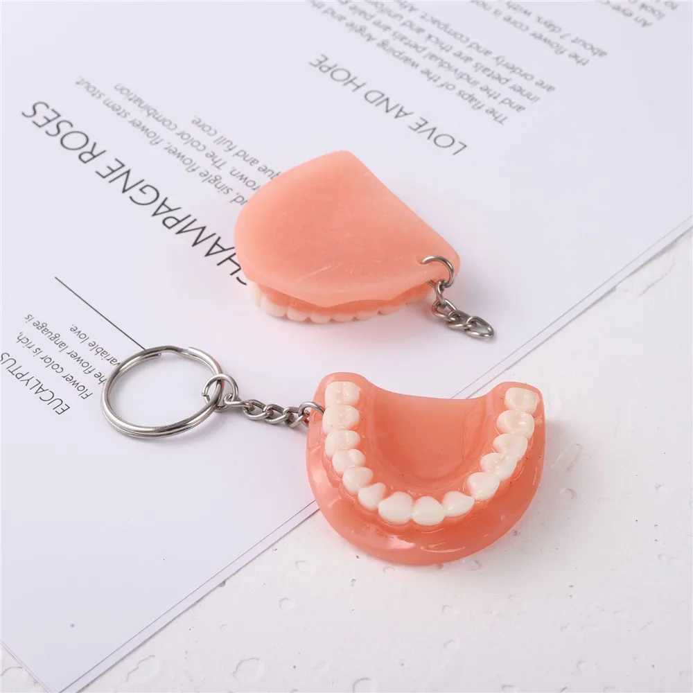 Tooth Key Chain Mold Resin Jaw Model Denture Keyring Keychain For Bags Charm Clinic Popular 2023 Trending for KidsX240919