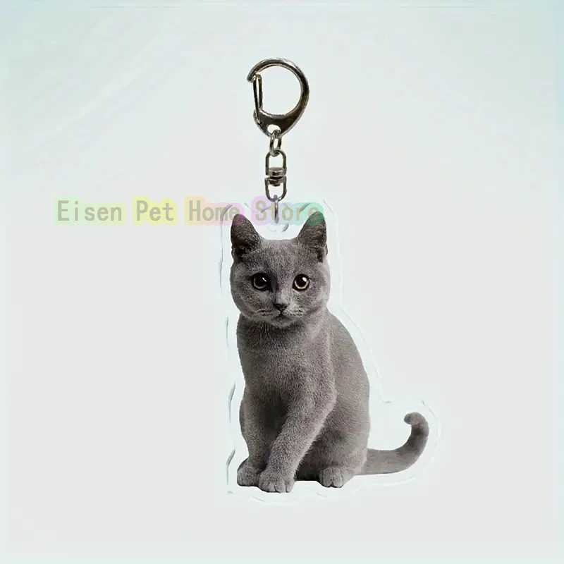 Funny Cat Key Chain Keychains Ring for Accessories Bag Pendant Keyring Jewelry Cute Animal Pet Llaveros Friends Gifts Cool CatsX240919