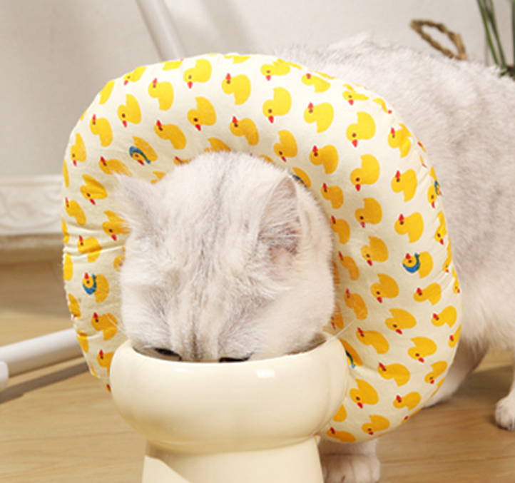 Halloween Cat collar cotton neck for cats and dogs Universal full size scratch protection White Eliza Circle Beauty