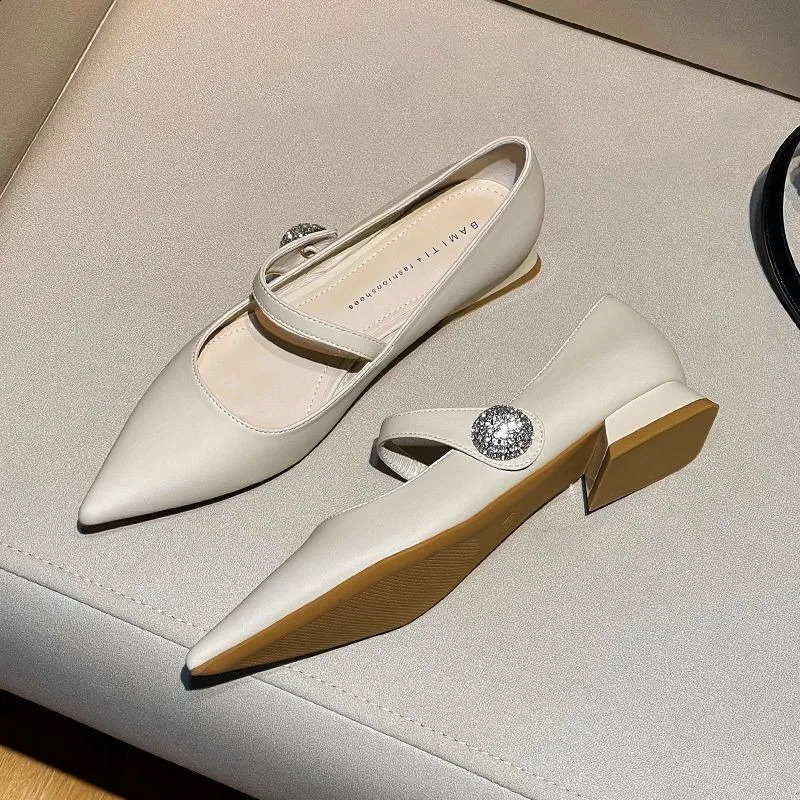 Womens Pointed Mary Janes Loafers Womens Fashion Buckle Shoes Spring Fashion Shallow Loafers Round Toes Heavy Ballet Performer 240919