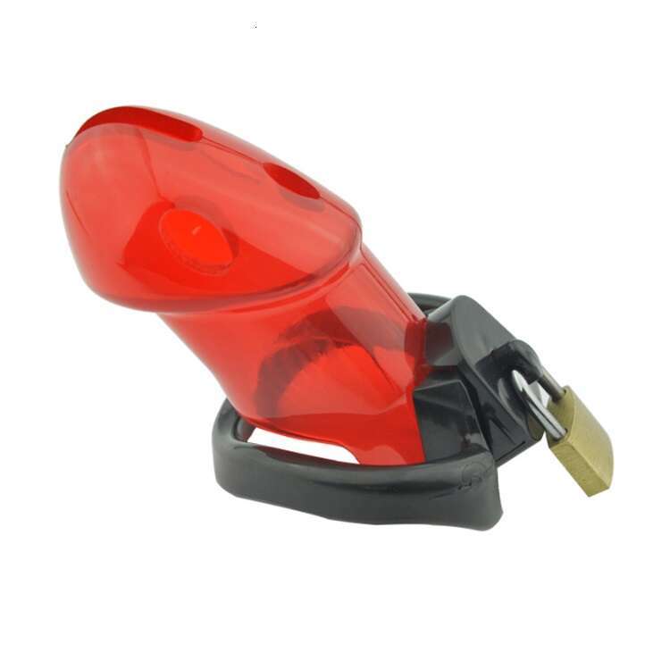 CB6000 Male Chastity Device, Lockable Cock Cage With 3 Sized Penis Rings