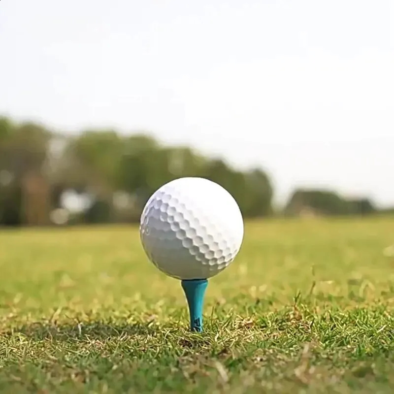 PGM 10pcs double-layer golf balls golf swing putting practice balls white standard blank golf balls Q003 240927