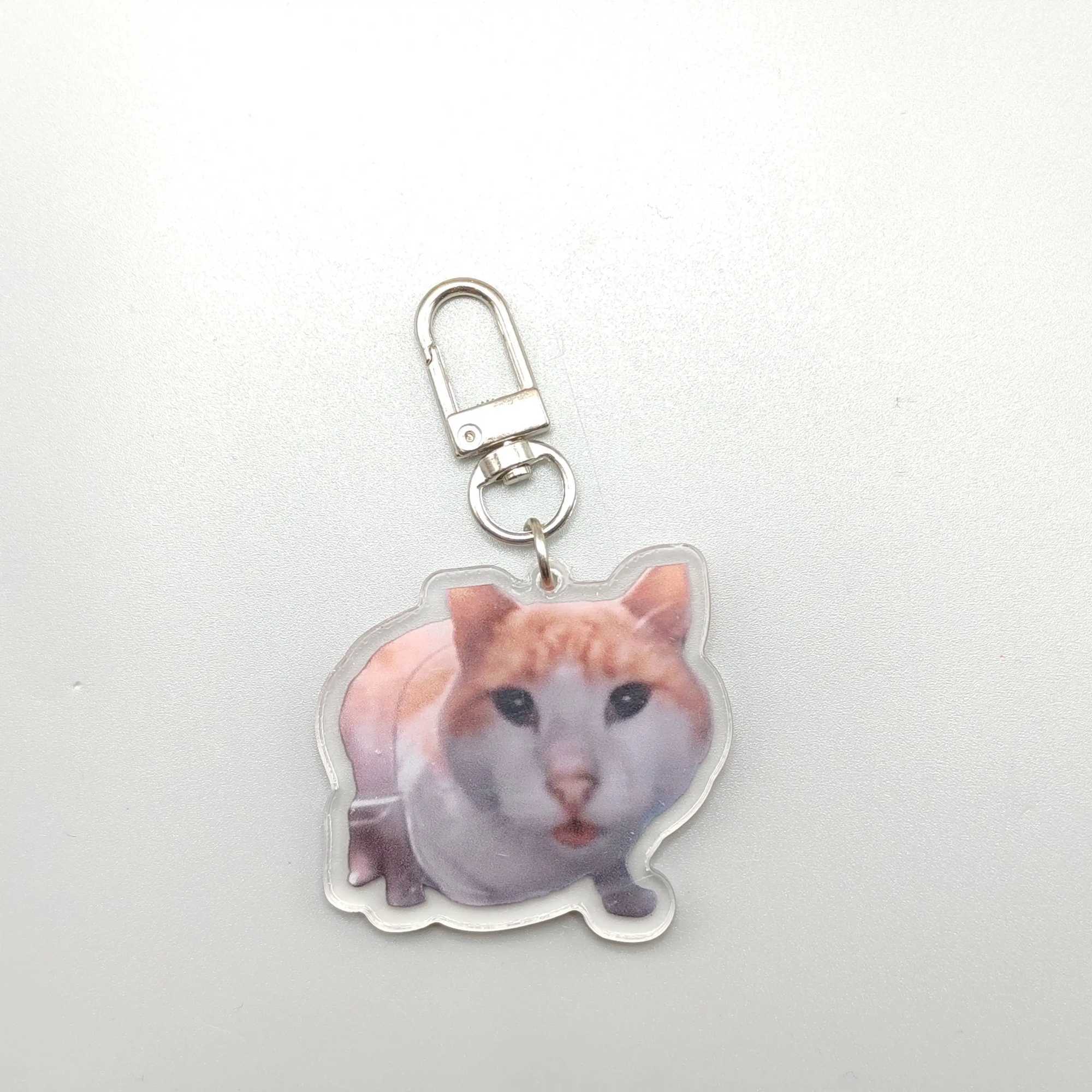 Silly Cat Feeder CameraCats Cat Looking At Camera MemeMr.Fresh Cat Eating Food meme Cute Fun Keychain Gift For Friend KeyringX240919