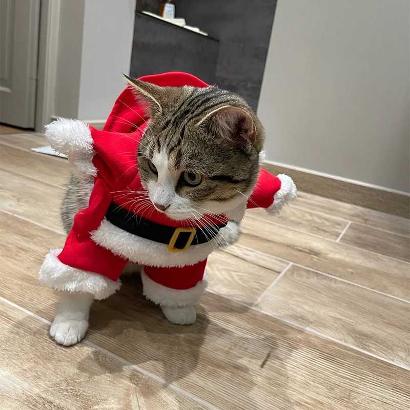 Christmas Pet Cat Clothes Winter Warm Yorkshire Cosplay Suit For Small Dogs Cats Funny Santa Claus Clothing Puppy Kitten CostumeXJ240906