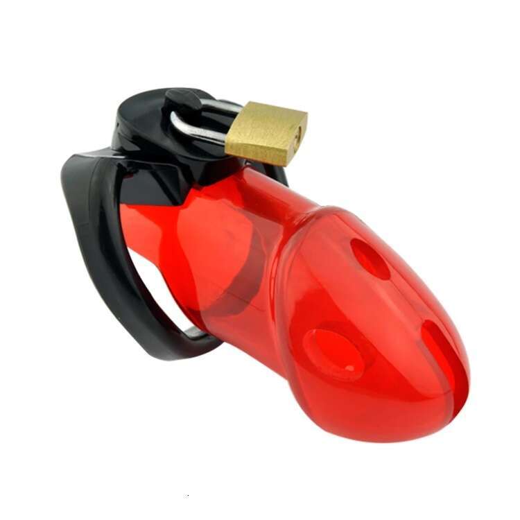 CB6000 Male Chastity Device, Lockable Cock Cage With 3 Sized Penis Rings