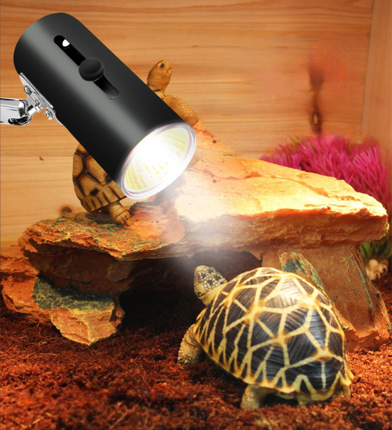 Reptile Lamp Stand UVA UVB Lamp Fixture Lizard Tortoise Heating Light Holder with Clamp for Turtle Habitat Fish Tank