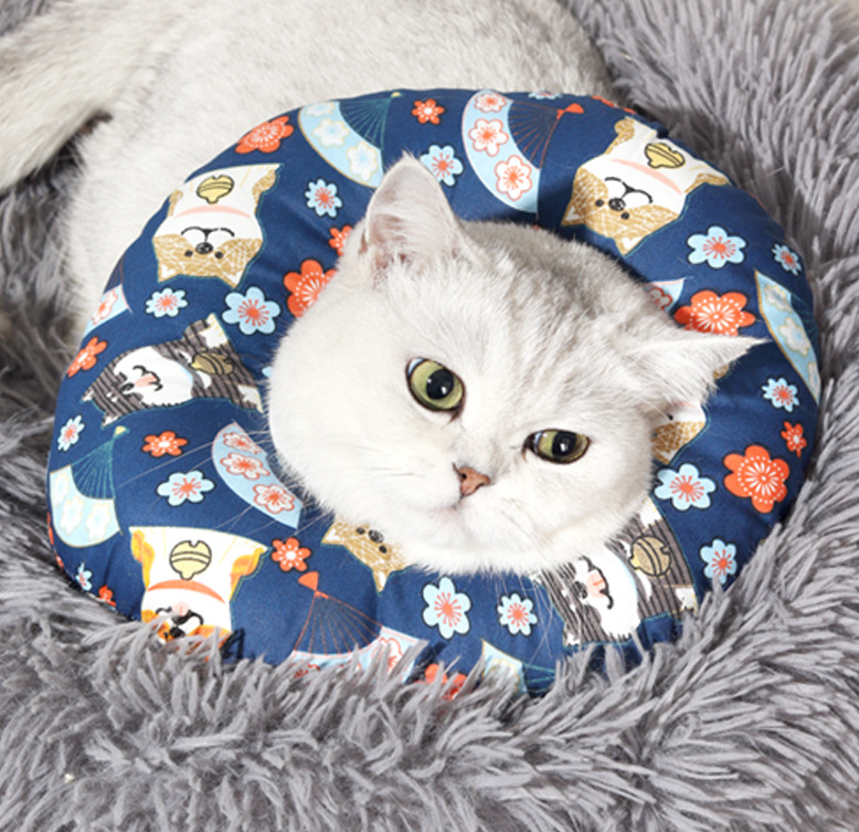 Halloween Cat collar cotton neck for cats and dogs Universal full size scratch protection White Eliza Circle Beauty
