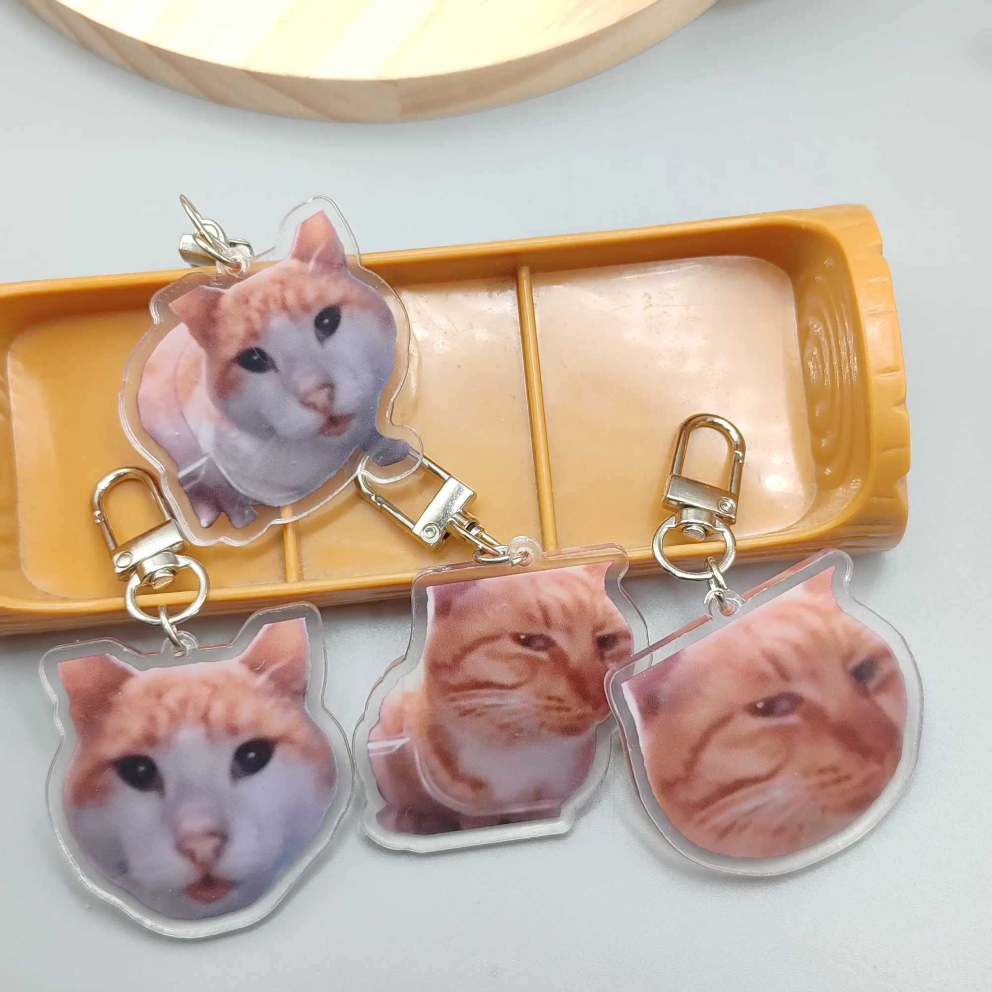 Silly Cat Feeder CameraCats Cat Looking At Camera MemeMr.Fresh Cat Eating Food meme Cute Fun Keychain Gift For Friend KeyringX240919