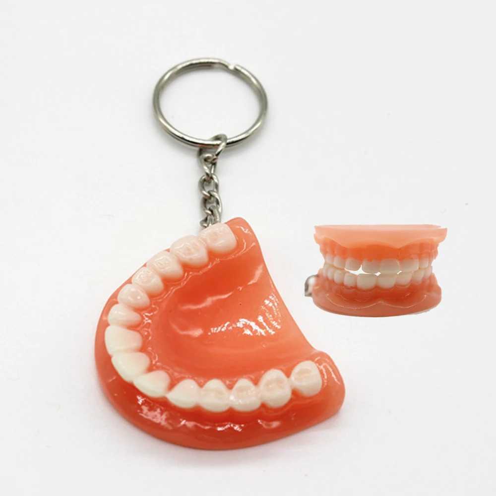 Tooth Key Chain Mold Resin Jaw Model Denture Keyring Keychain For Bags Charm Clinic Popular 2023 Trending for KidsX240919