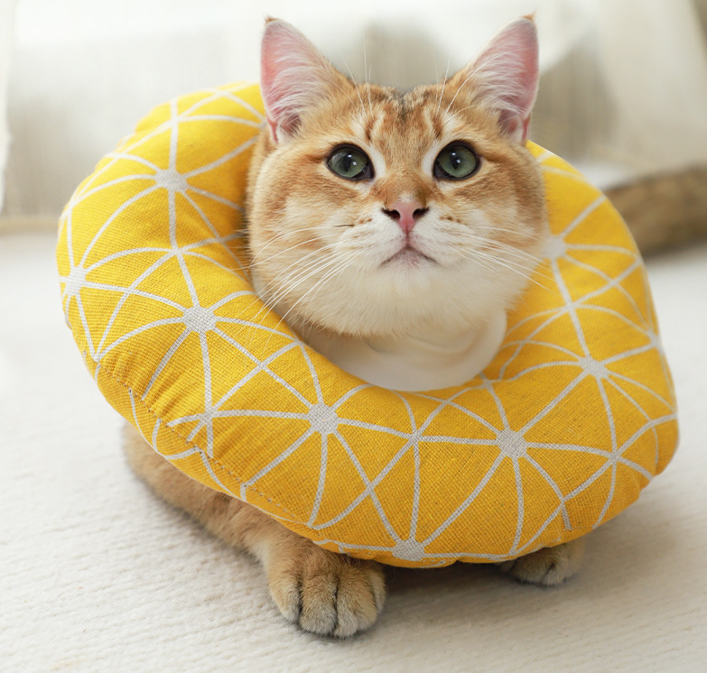 Halloween Cat collar cotton neck for cats and dogs Universal full size scratch protection White Eliza Circle Beauty