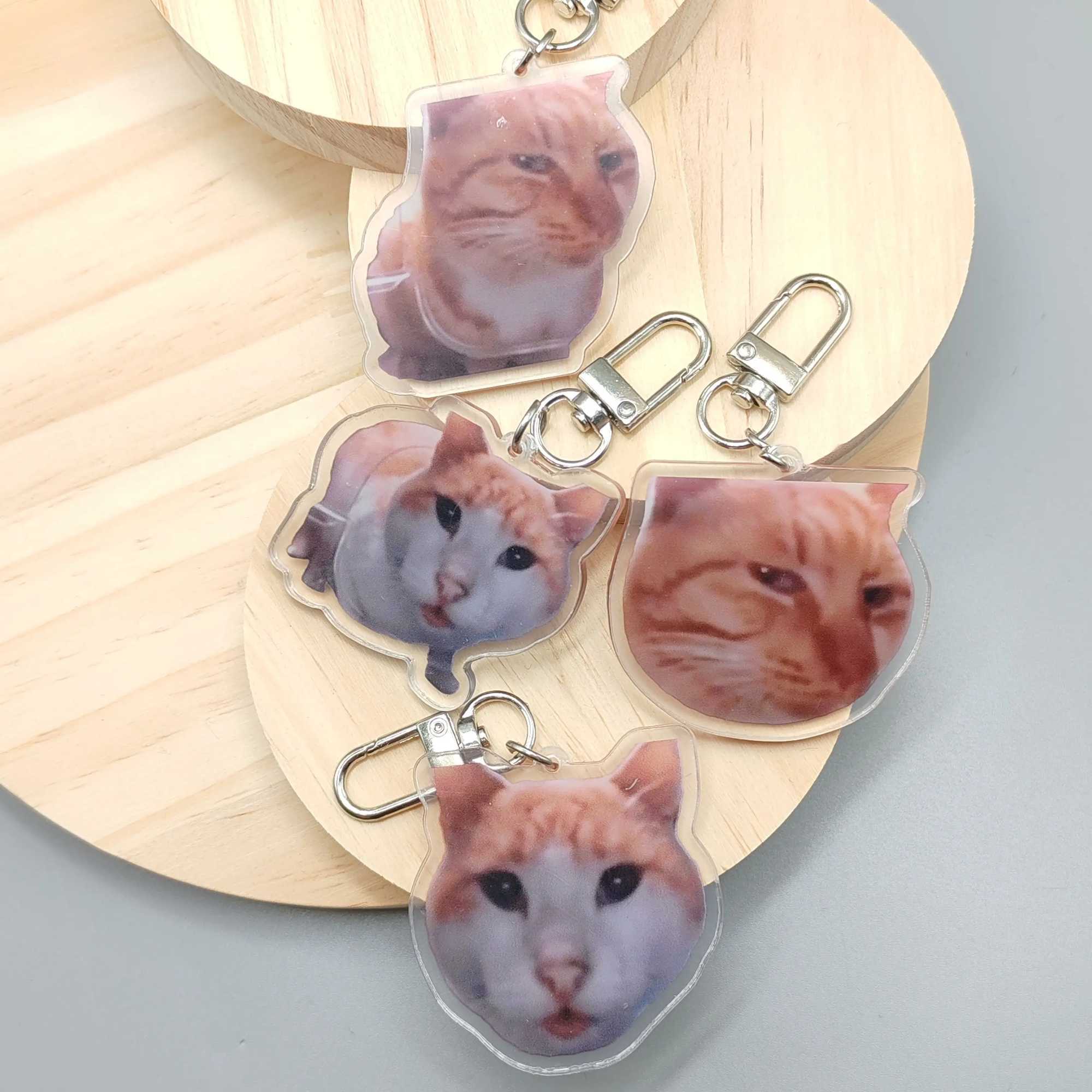 Silly Cat Feeder CameraCats Cat Looking At Camera MemeMr.Fresh Cat Eating Food meme Cute Fun Keychain Gift For Friend KeyringX240919