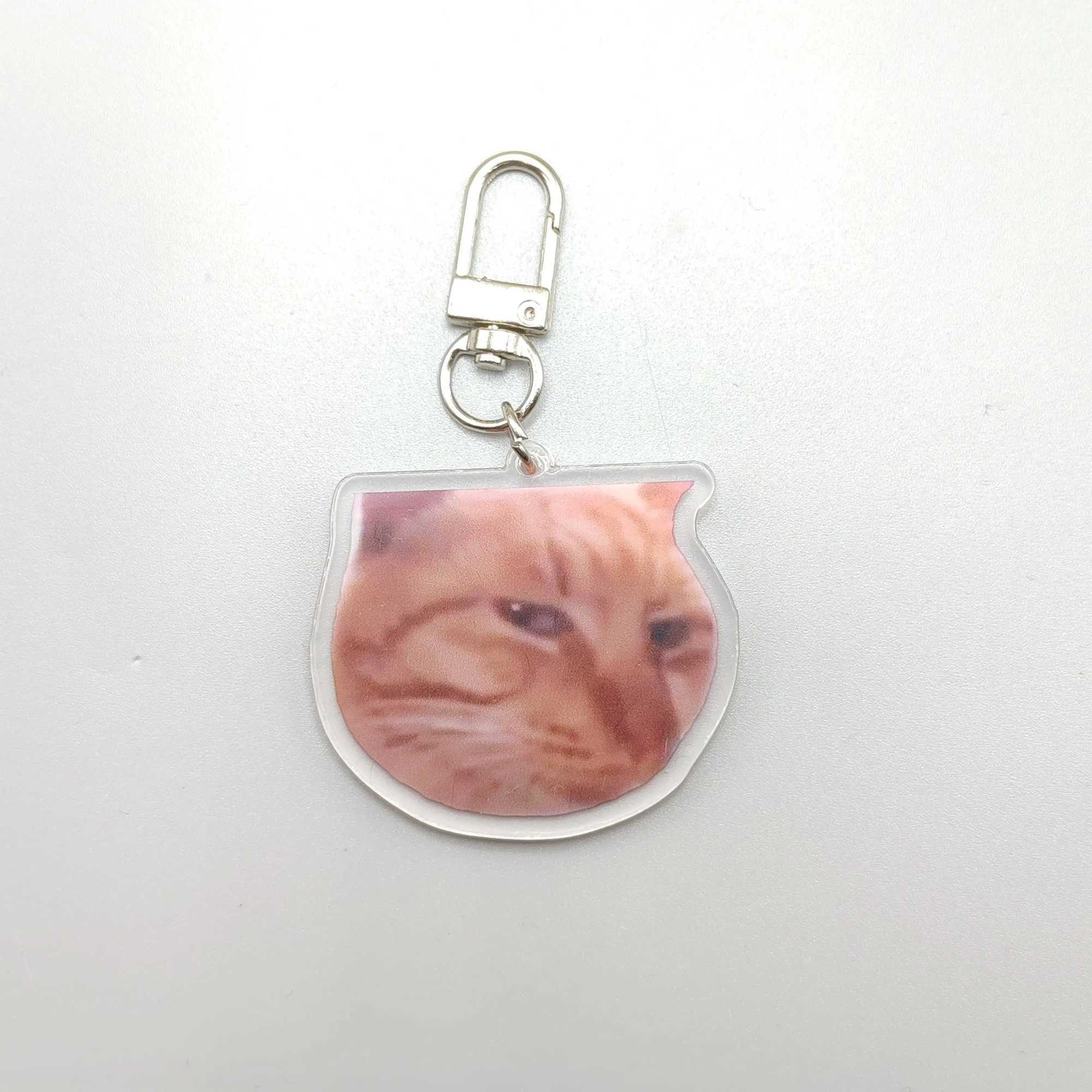 Silly Cat Feeder CameraCats Cat Looking At Camera MemeMr.Fresh Cat Eating Food meme Cute Fun Keychain Gift For Friend KeyringX240919