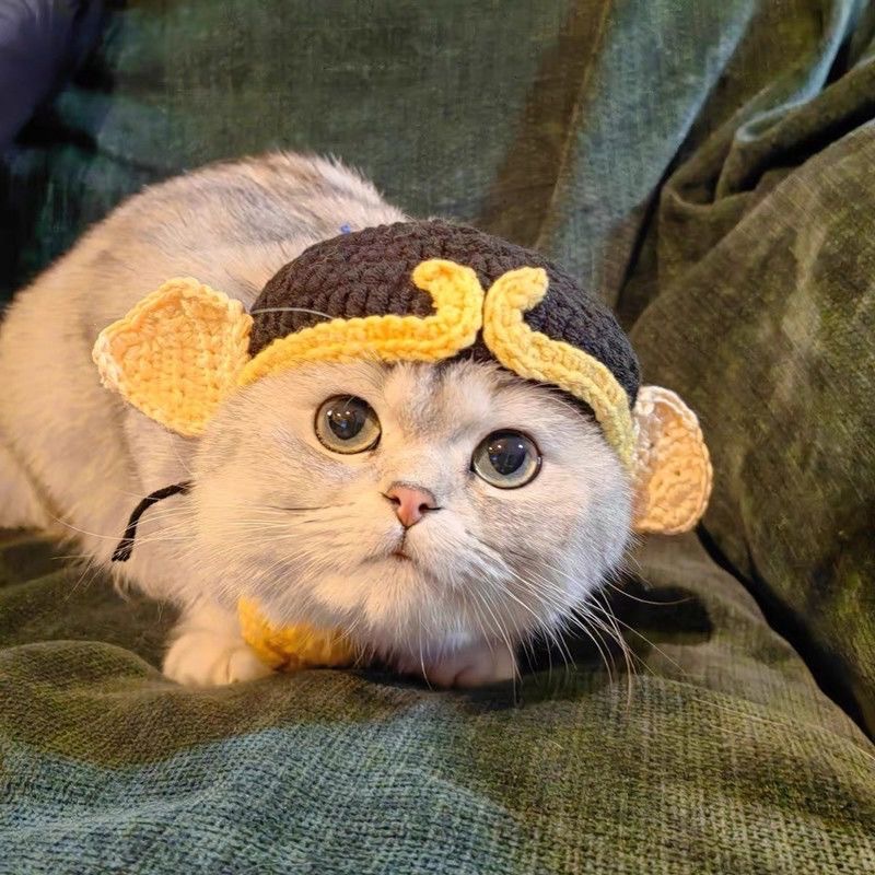 Halloween Cross border cat wool woven hat Small dog hand-crocheted funny cute decorative dog accessories headwear