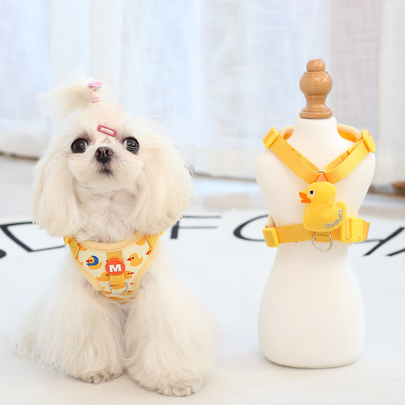 Halloween Kitten leash chest strap set Small dog chest back pet ducklings vest dog pet supplies
