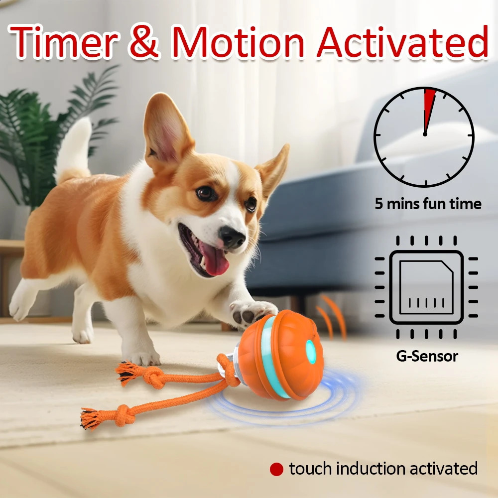 Interactive dog toy ball sports activation intelligent dog toy automatic movement teasing ball puppy cleaning teeth chewing toy knot rope 240914